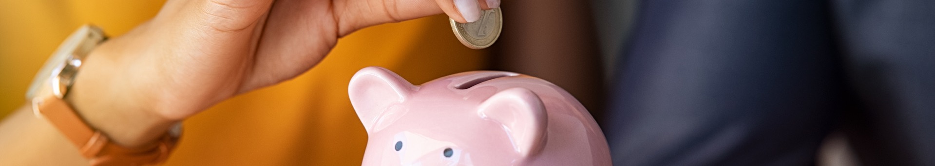 Image of a person adding money to a piggy bank